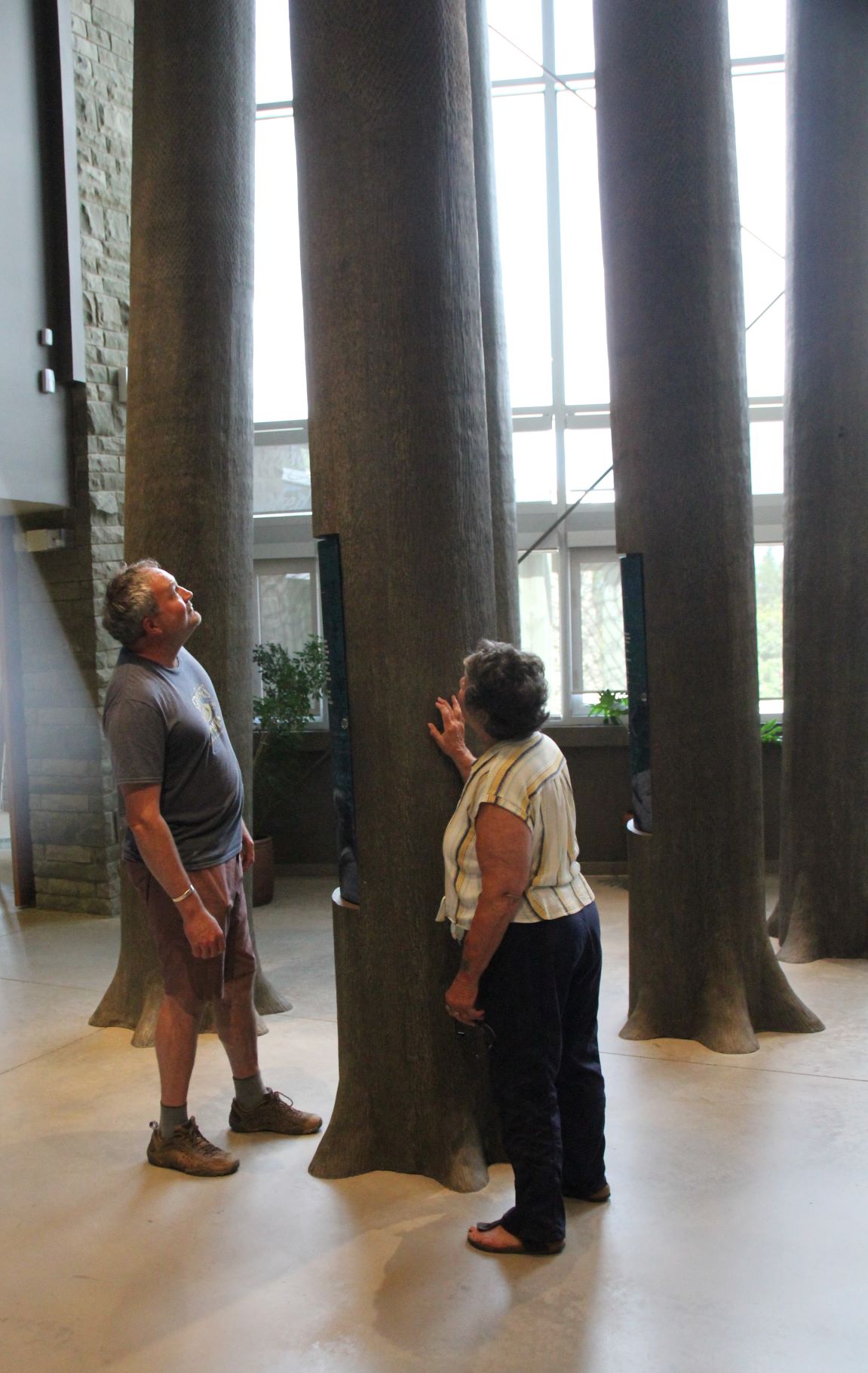 Darryl and Sandra in the museum looking at a tree trunk